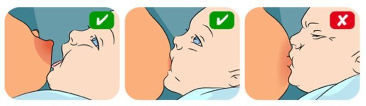 كيفية وضع الطفل في الرضاعة الطبيعية كيفية وضع الطفل في الرضاعة الطبيعية