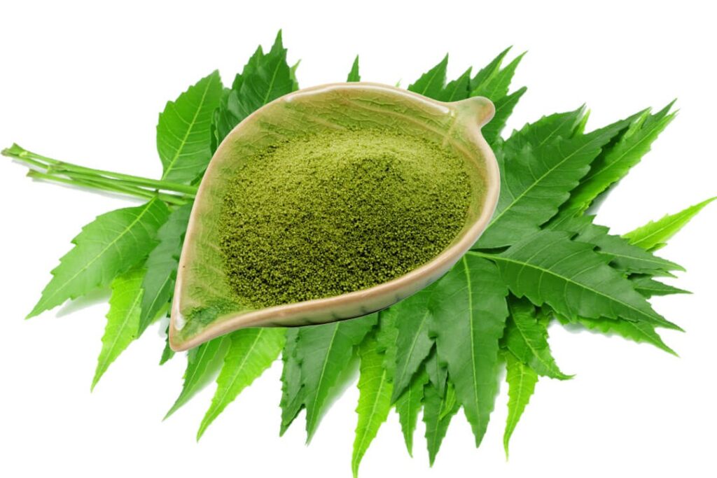 مسحوق النيم هو مسحوق أخضر عشبي مصنوع عن طريق سحق الأوراق المجففة بالشمس لشجرة النيم (Azadirachta indica). تحتوي أوراق النيم على فلافونويدات البوليفينول مثل كيرسيتين و ß-سيتوستيرول. ومن المعروف أن هذه المركبات القوية لها خصائص مضادة للفطريات والبكتيريا.